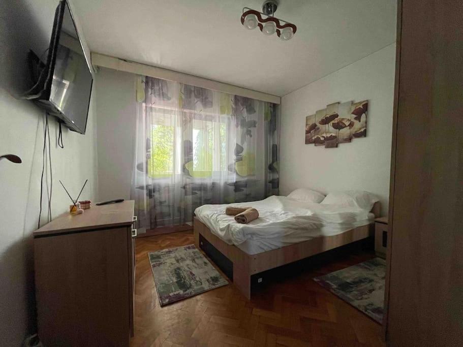 Apartament Zona Centrala Punctele Cardinale -take Ionescu