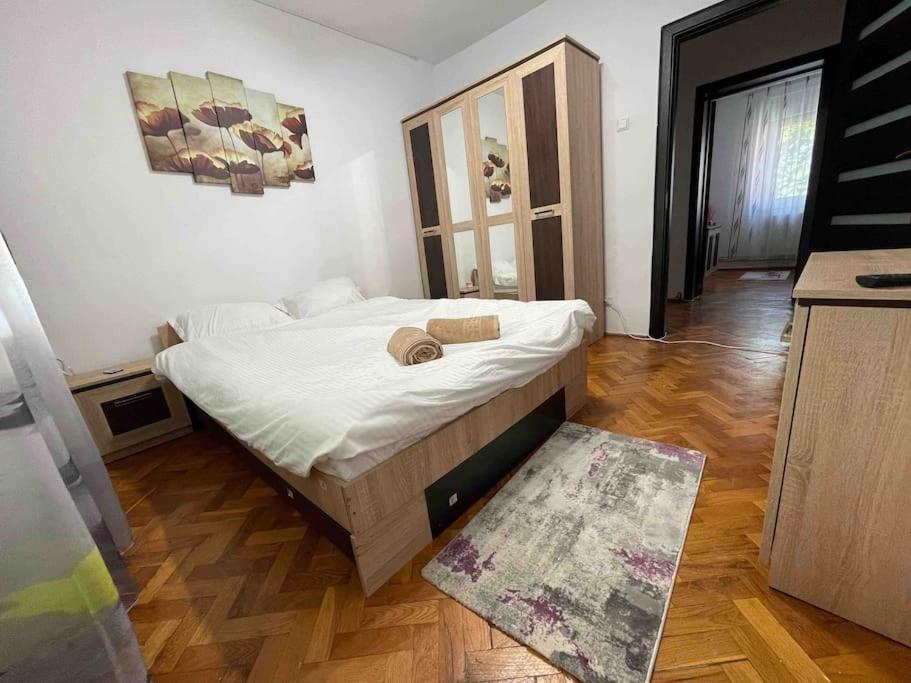 Appartement Apartament Zona Centrala Punctele Cardinale -take Ionescu Timişoara