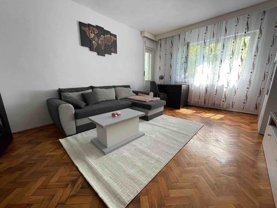 Apartament Zona Centrala Punctele Cardinale -take Ionescu Appartement Timişoara