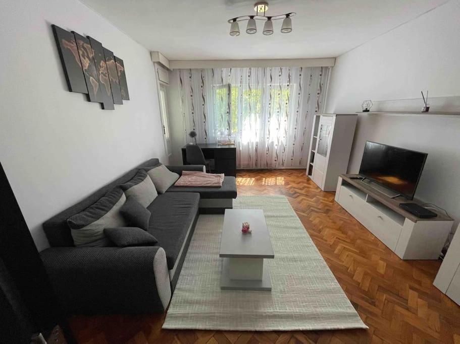 Apartament Zona Centrala Punctele Cardinale -take Ionescu Timişoara
