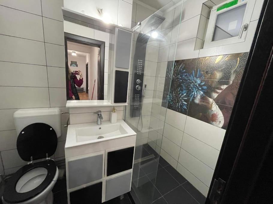 Apartament Zona Centrala Punctele Cardinale -take Ionescu *